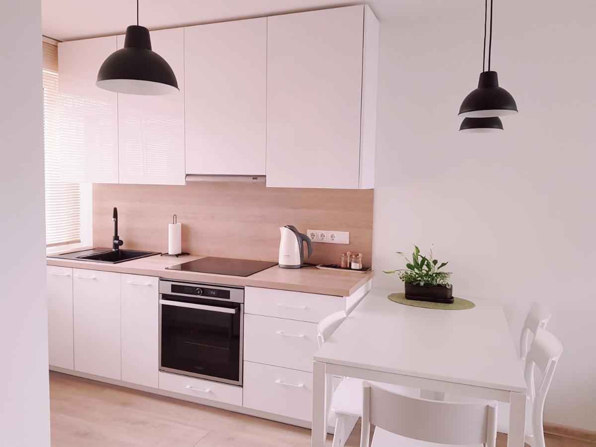 New City Center Apartments Druskininkai Buitenkant foto
